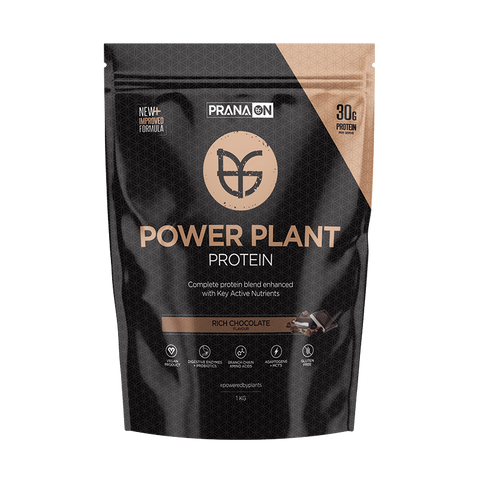 Power Plant Protein by Prana ON (400g)